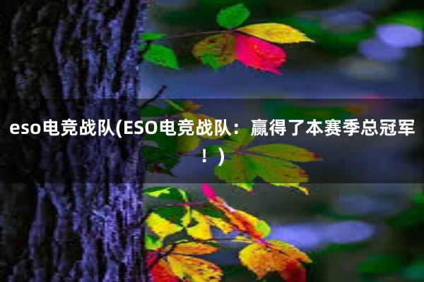 eso电竞战队(ESO电竞战队：赢得了本赛季总冠军！)