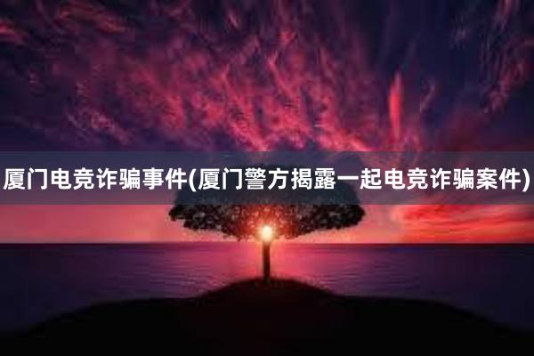 厦门电竞诈骗事件(厦门警方揭露一起电竞诈骗案件)