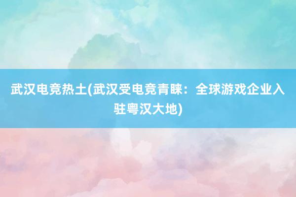 武汉电竞热土(武汉受电竞青睐：全球游戏企业入驻粤汉大地)