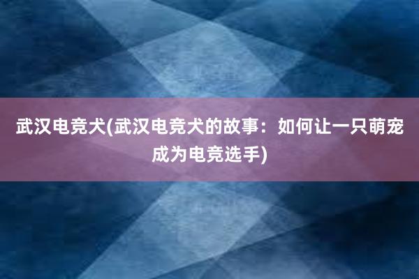 武汉电竞犬(武汉电竞犬的故事：如何让一只萌宠成为电竞选手)