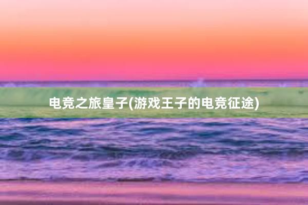 电竞之旅皇子(游戏王子的电竞征途)