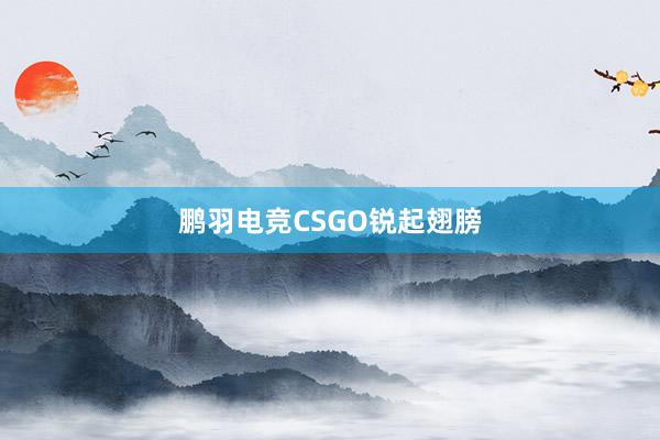 鹏羽电竞CSGO锐起翅膀