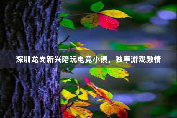 深圳龙岗新兴陪玩电竞小镇，独享游戏激情